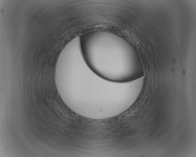 X0000083030916200702020914