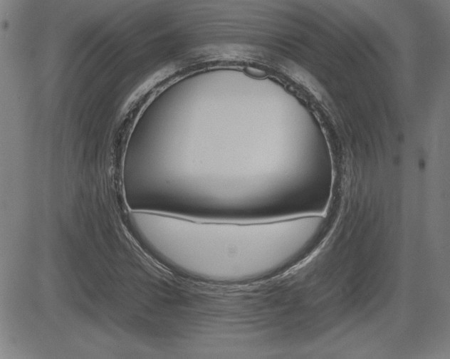 X0000083030922200702020914