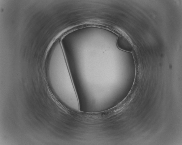 X0000083030931200702020914