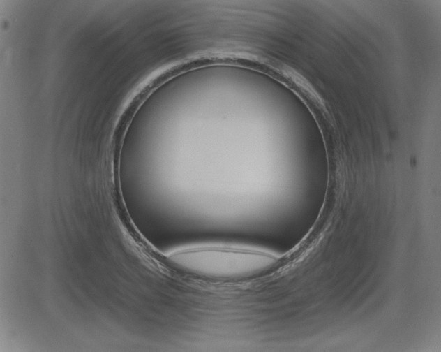 X0000083030934200702020914