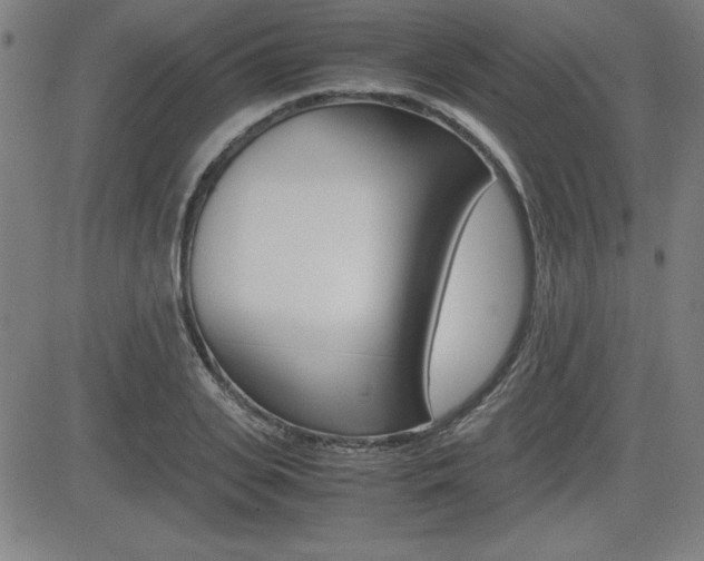 X0000083030935200702020914