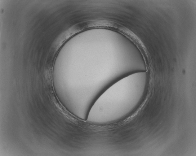 X0000083030937200702020914