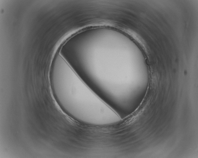 X0000083030943200702020914