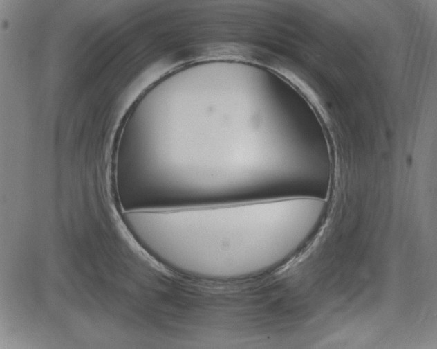 X0000083030949200702020914