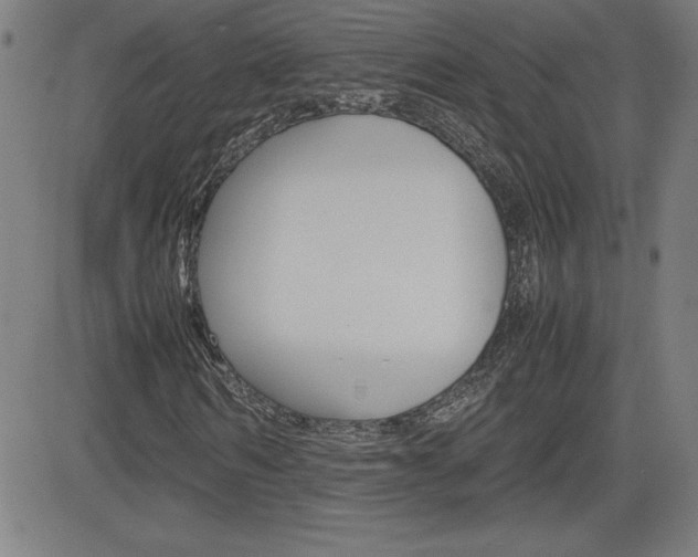 X0000083030962200702020914