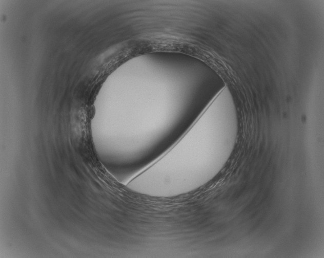 X0000083030964200702020914