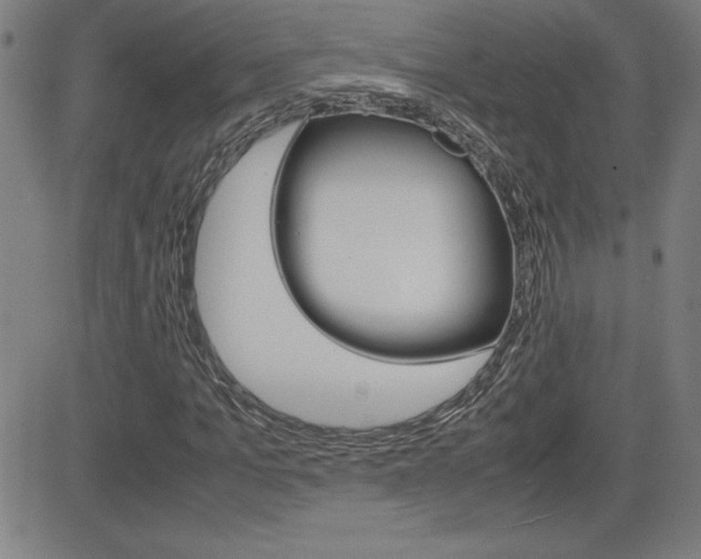 X0000083030965200702020914