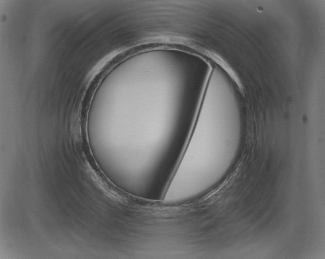 X0000083030972200702020913