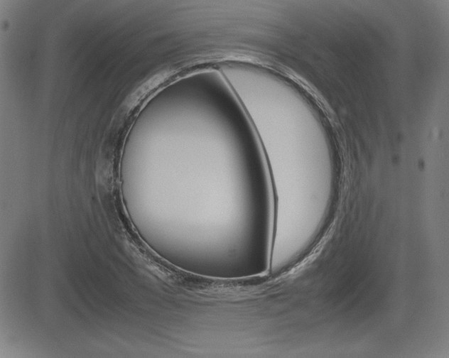 X0000083030977200702020913