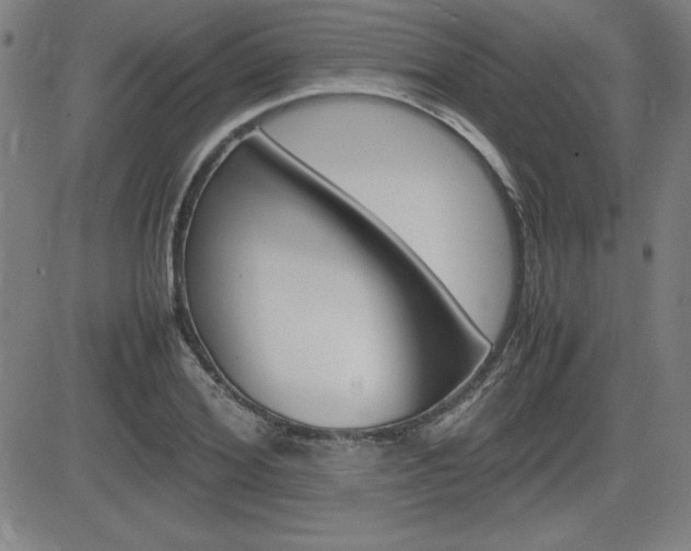 X0000083030980200702020913