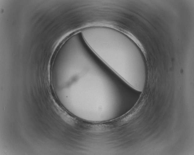 X0000083030988200702020913