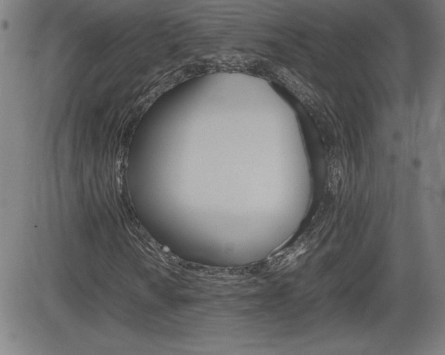 X0000083031010200702020912