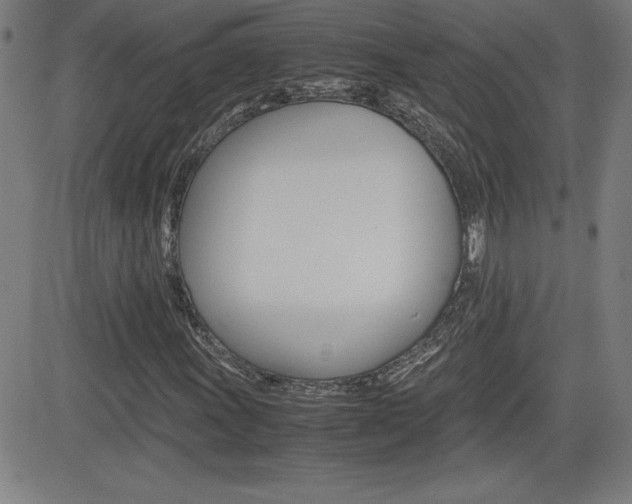 X0000083031011200702020912