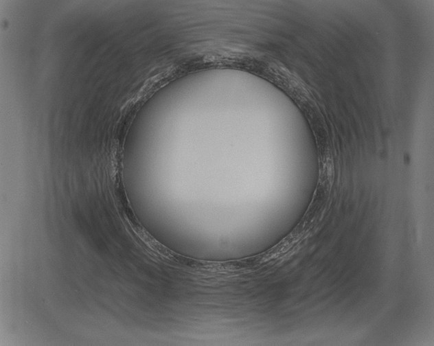 X0000083031012200702020912
