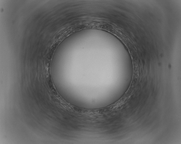 X0000083031013200702020912