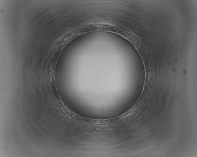 X0000083031014200702020912