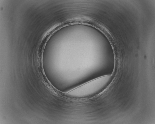X0000083031018200702020912
