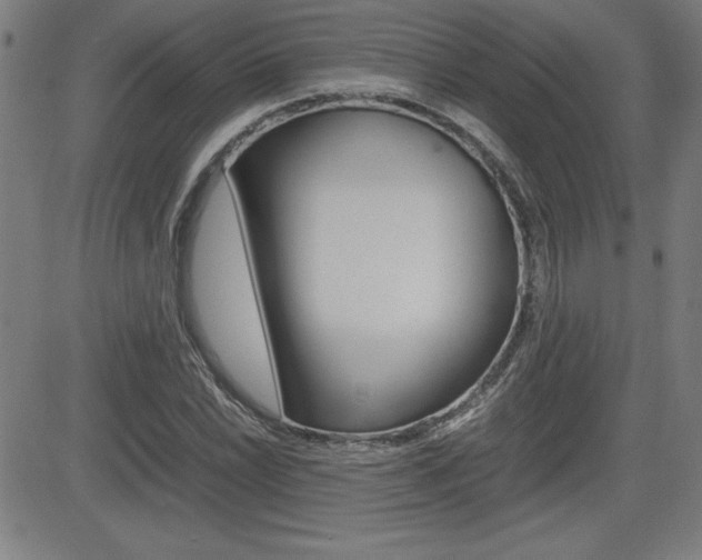 X0000083031022200702020912