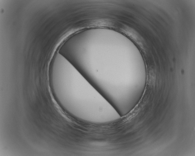 X0000083031039200702020913