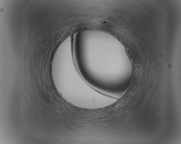 X0000083031057200702020912