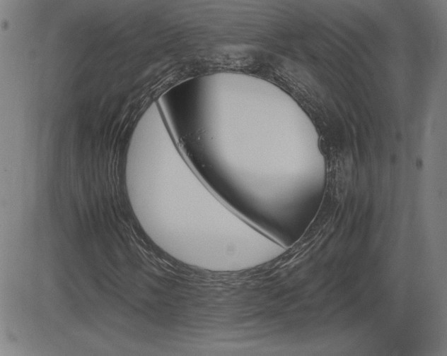 X0000083031058200702020912