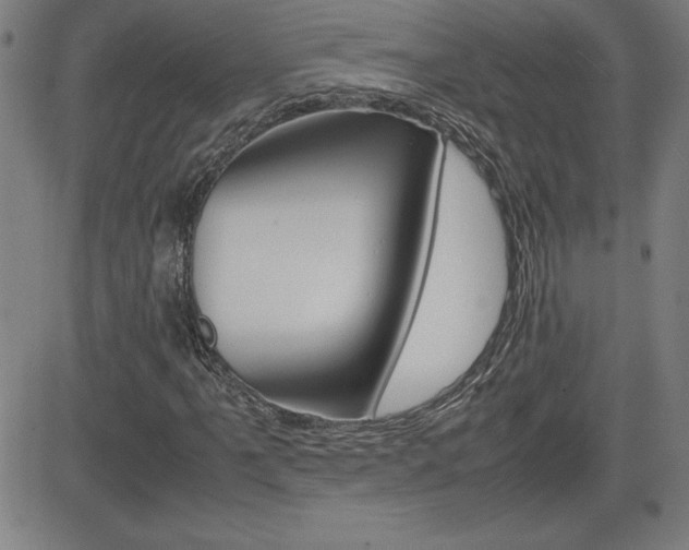 X0000083031061200702020912