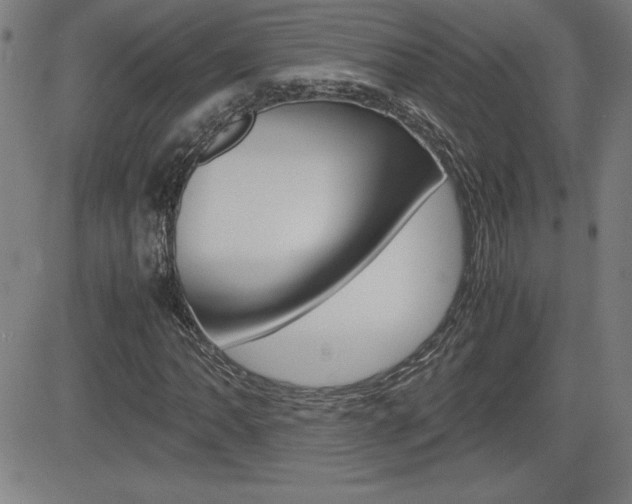 X0000083031062200702020912