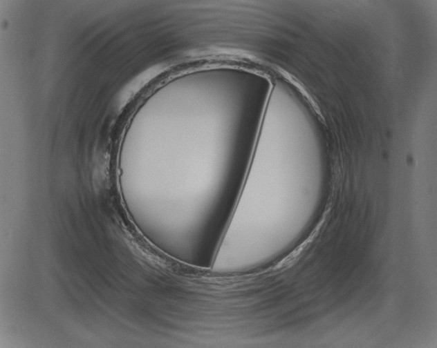 X0000083031066200702020912