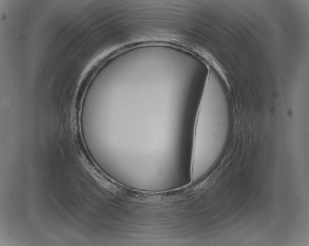 X0000083031072200702020912