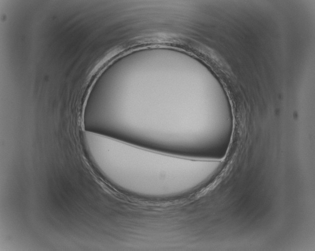 X0000083031073200702020912
