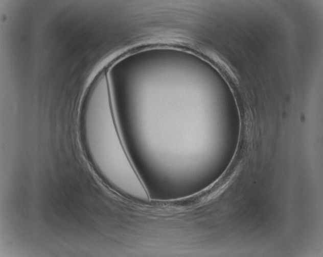X0000083031077200702020912