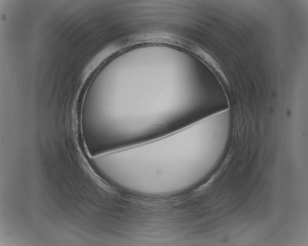 X0000083031082200702020912