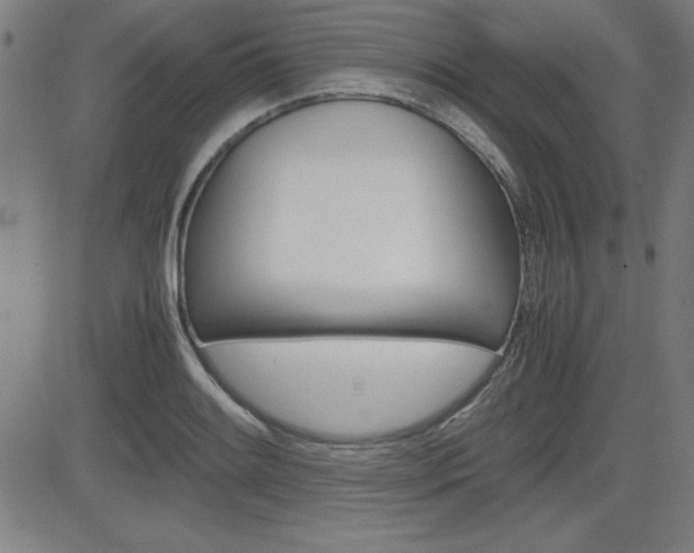 X0000083031084200702020912