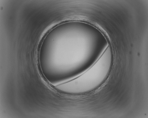 X0000083031085200702020912