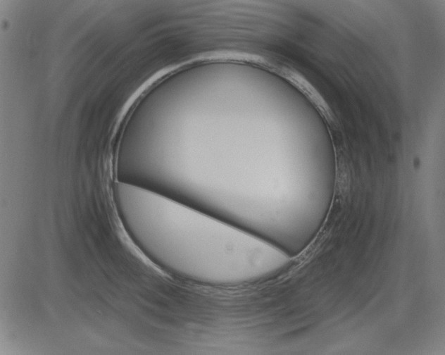 X0000083031092200702020911