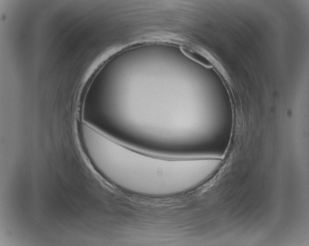 X0000083031093200702020911