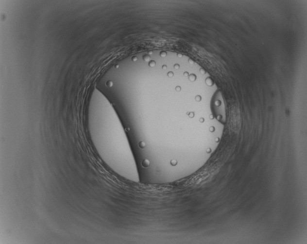 X0000083031105200702020911