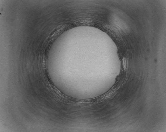 X0000083031107200702020911