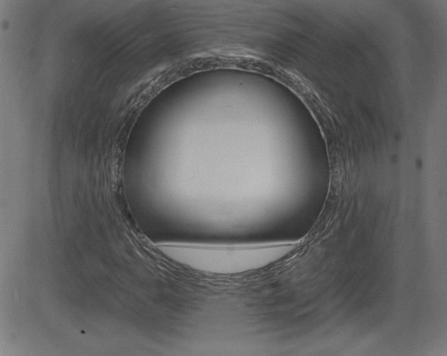 X0000083031110200702020911