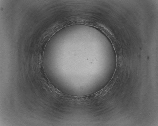 X0000083031111200702020911