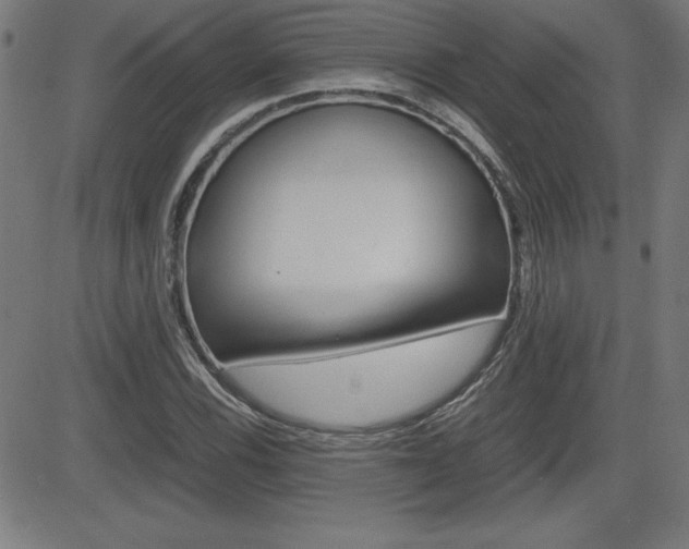 X0000083031116200702020911