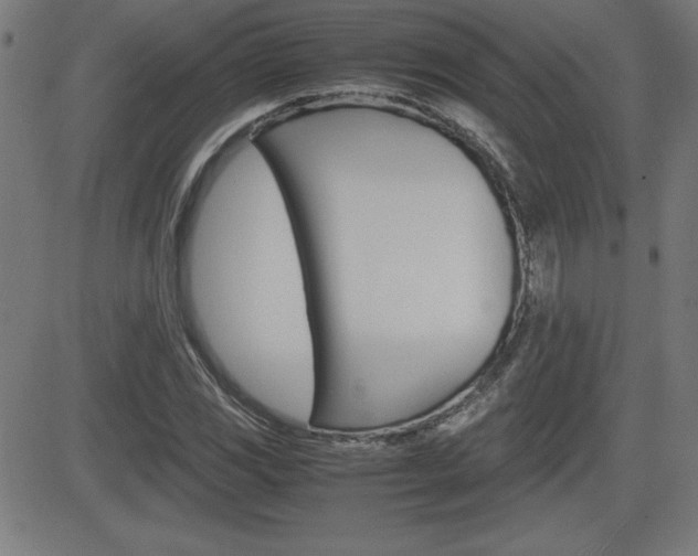 X0000083031117200702020911