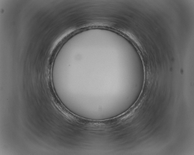 X0000083031119200702020911