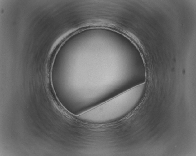 X0000083031120200702020911