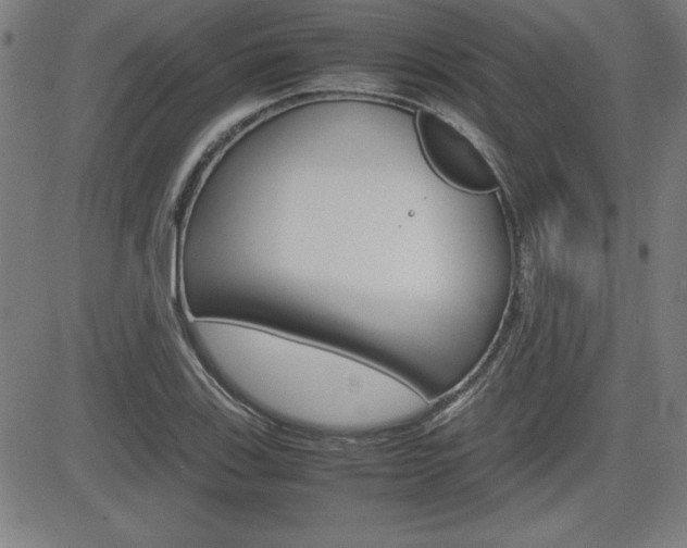 X0000083031123200702020911
