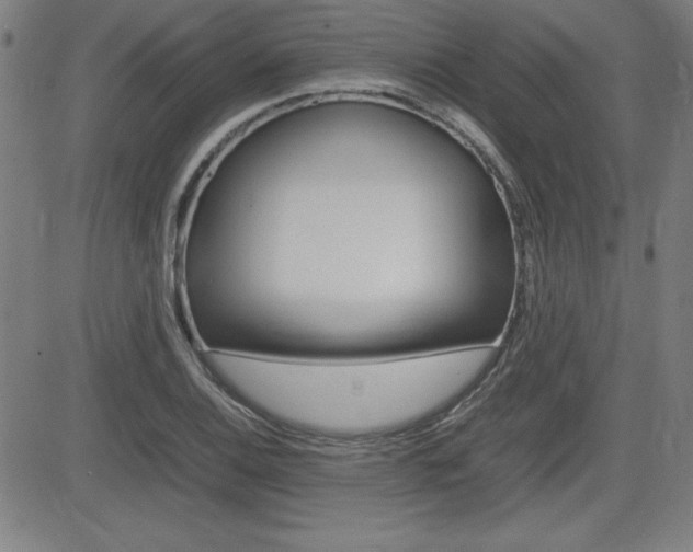 X0000083031124200702020911