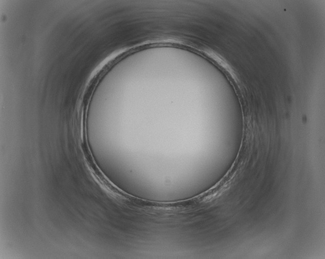 X0000083031127200702020911