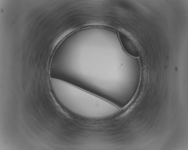 X0000083031129200702020911