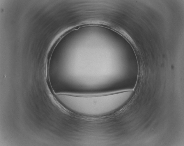 X0000083031132200702020911