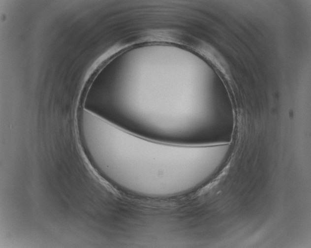 X0000083031133200702020911